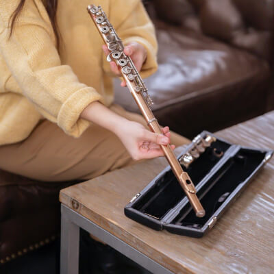 Gallery musician template gallery img b 4